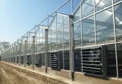 Các kích thước quạt hút công nghiệp phổ biến nhất...