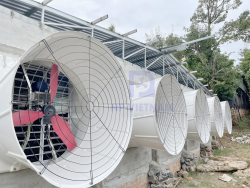 Bảng giá quạt hút công nghiệp Composite chất lượng cao