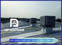Hệ thống làm mát nhà xưởng với quạt hút và màng Cooling pad