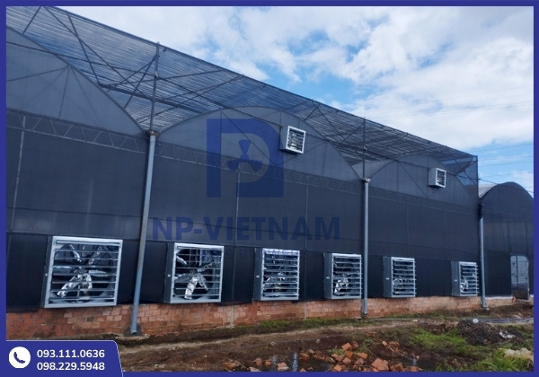 NP Việt Nam cung cấp hàng quạt công nghiệp chính hãng sẵn sàng đáp ứng mọi quy mô dự án
