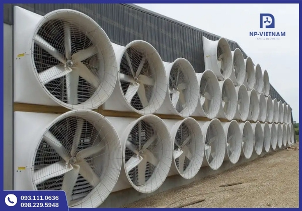 Chọn đúng loại quạt công nghiệp cho nhà xưởng nhỏ giúp tối ưu hiệu suất làm mát, tiết kiệm điện năng