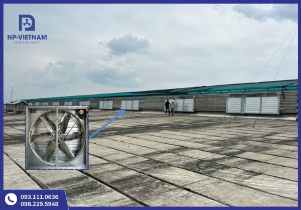 Nhu cầu lắp đặt hệ thống quạt công nghiệp tại Tây Ninh ngày càng tăng cao