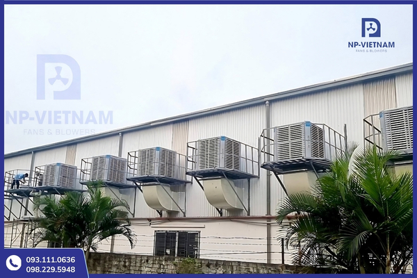 Quạt hơi nước công nghiệp ứng dụng cho nhà xưởng, kho bãi, nhà hàng và trang trại