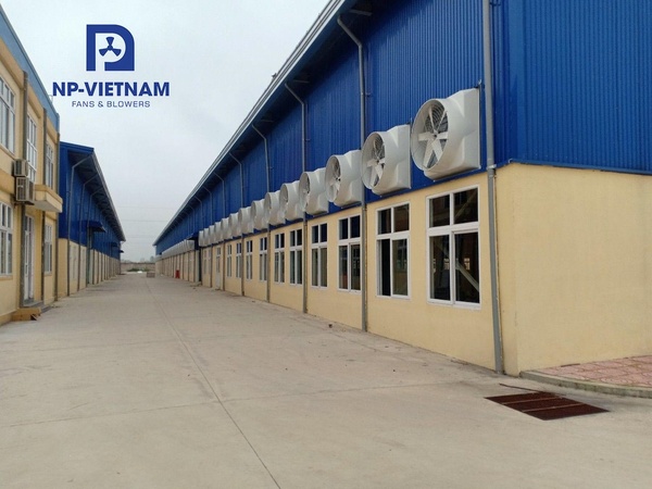 Thi công hệ thống quạt hút mái và quạt thổi tường tại kho logistics TP.HCM