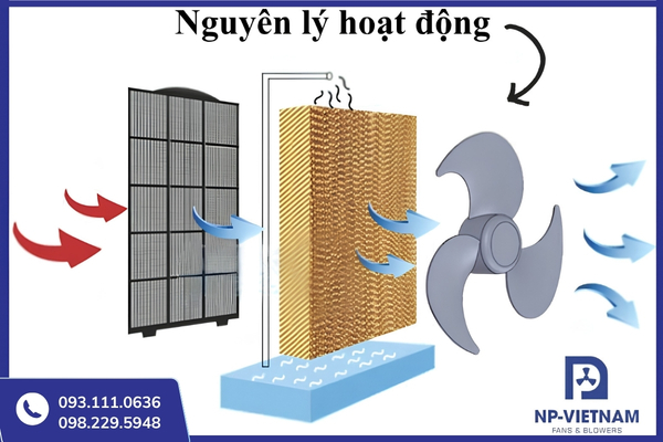 Máy hoạt động dựa trên nguyên lý bay hơi nước để tạo luồng khí mát tự nhiên