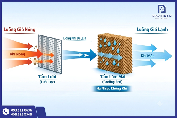 Quạt hơi nước 2 tầng làm mát bằng cơ chế bay hơi nước qua Cooling Pad