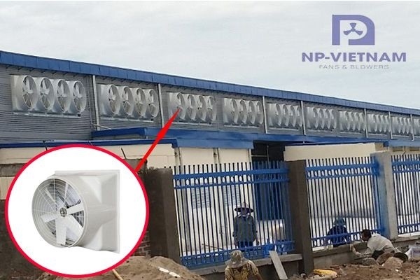 Quạt trang trại composite được lắp đặt tạo nên hệ thống thông gió hiệu quả trong chăn nuôi