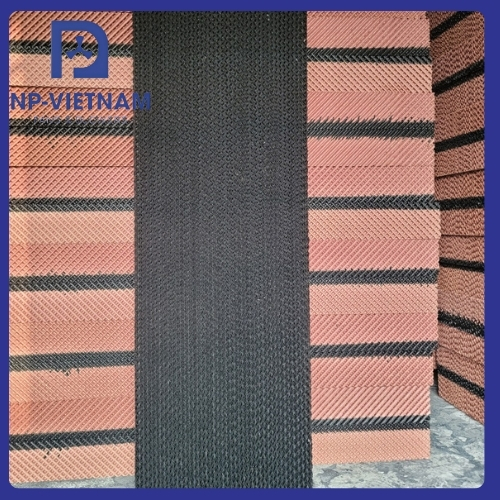 chống rêu 2 mặt