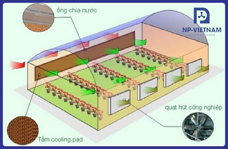 Sơ đồ của máy làm mát không khí
