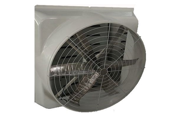quat-composite-motor-truc-tiep