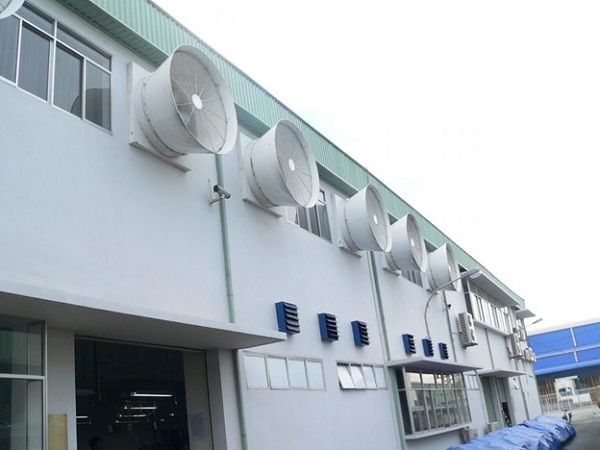 Mẫu quạt hút gió hướng trục