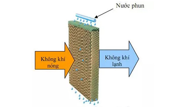 Nguyên lý hoạt động của tấm làm mát