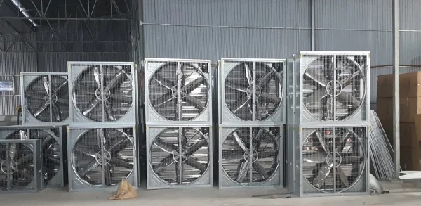 BHF Việt Nam cung cấp đa dạng các loại quạt hút công nghiệp Đồng Nai