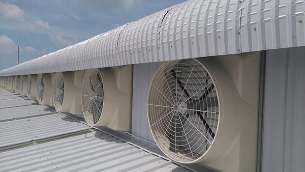 Đơn vị cung cấp quạt hút công nghiệp Đồng Nai chính hãng từ các thương hiệu lớn