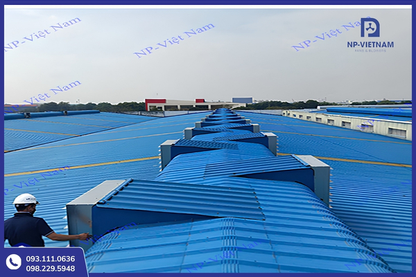 Quạt hút công nghiệp hỗ trợ kiểm soát nhiệt độ và chất lượng không khí trong chuồng trại