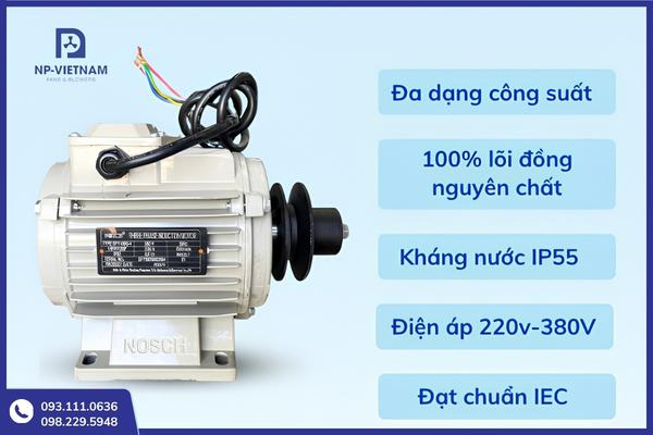Động cơ lõi đồng giúp quạt hoạt động bền bỉ trong môi trường công nghiệp