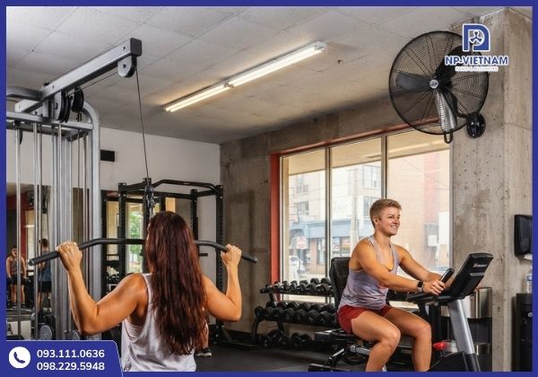Quạt cho phòng tập cần đảo gió rộng, lưu lượng cần nhiều mức tốc độ